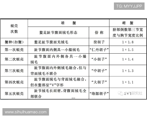 华体会官网安全策略详解提升平台安全防护能力