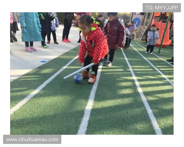 亚博体育滚球盘：深入探讨不同类型滚球盘的特点与投注策略差异