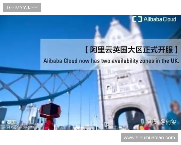 开云旗下品牌在国际市场上的发展战略与品牌影响力分析 开云旗下品牌在国际市场上的发展战略与品牌影响力分析