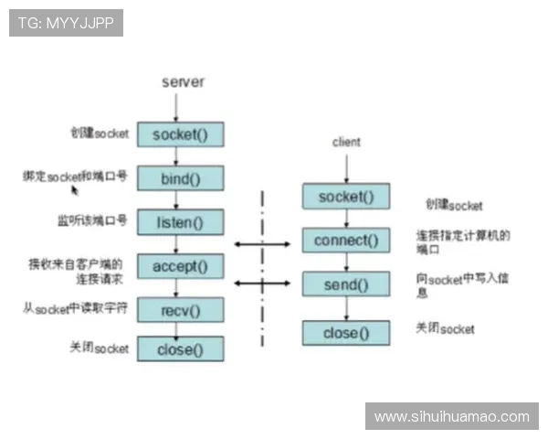 htp meaning的详细解释及其在网络通信中的重要作用解析