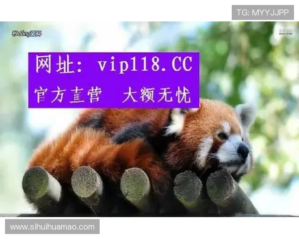 大赢家足球比分即时比分覆盖多场赛事,满足不同用户的多样化观看需求 大赢家足球比分即时比分覆盖多场赛事,满足不同用户的多样化观看需求